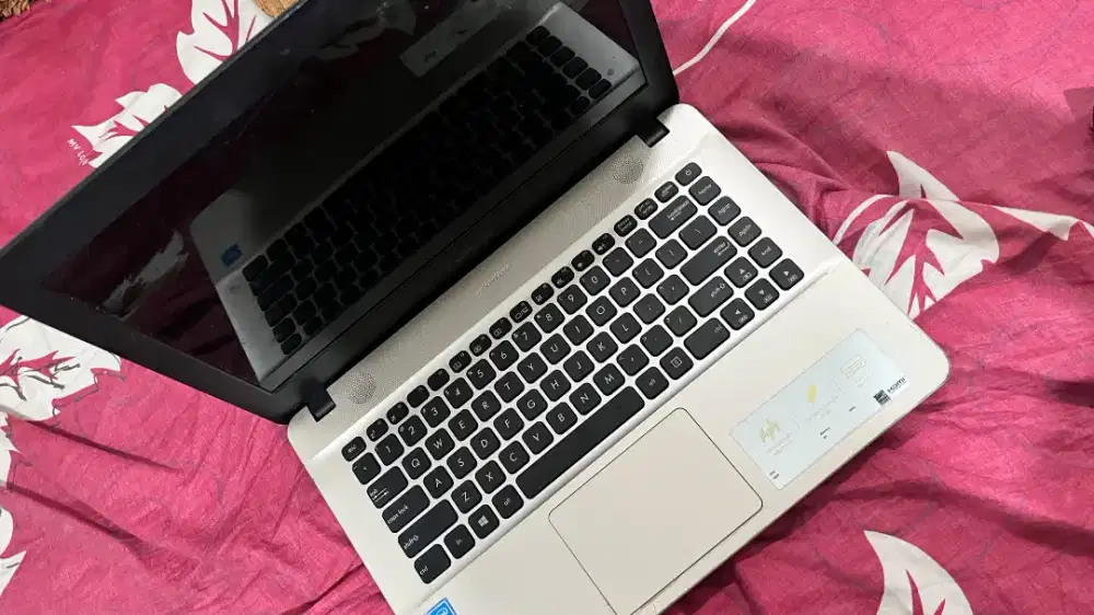 asus x441m laptop dan casan