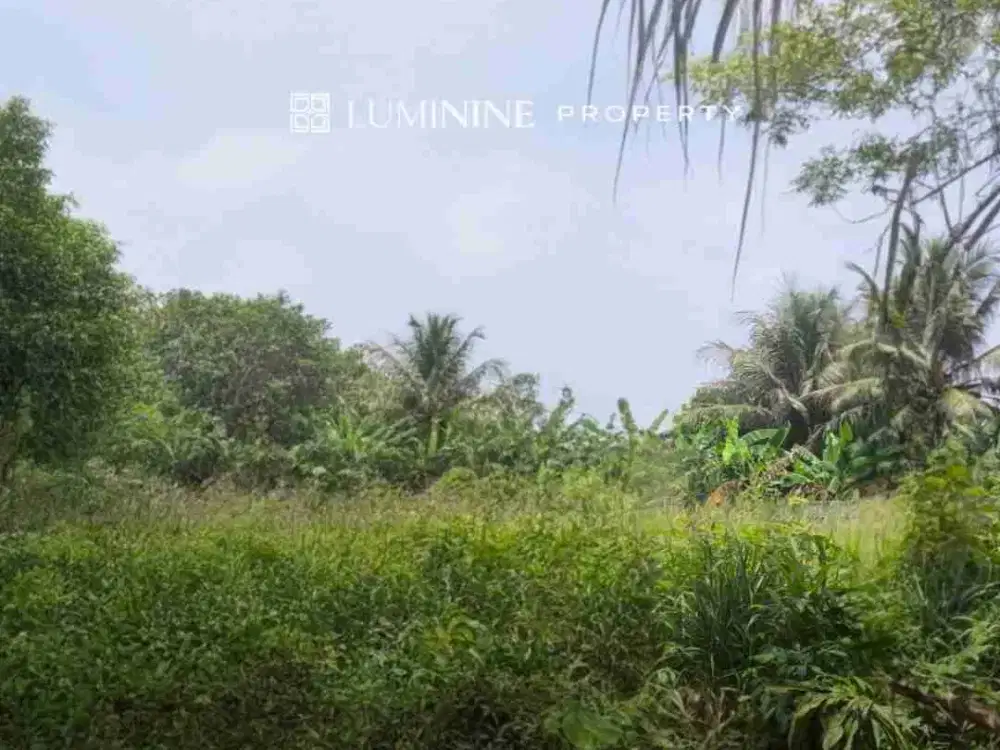 DIJUAL TANAH KAVLING JALAN RAYA PERUM KORPRI SERPONG ASRI TANGSEL ( DH )