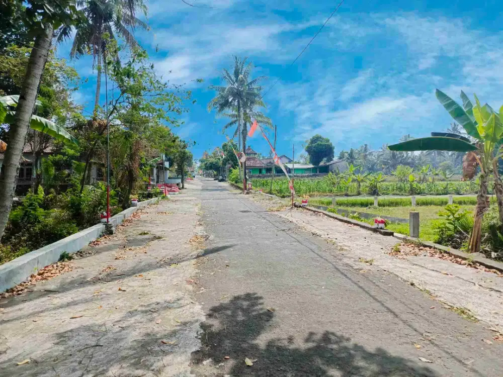 Tanah Murah Asri Mangku Jalan Aspal View Gunung Merapi Hamparan Sawah Hijau
