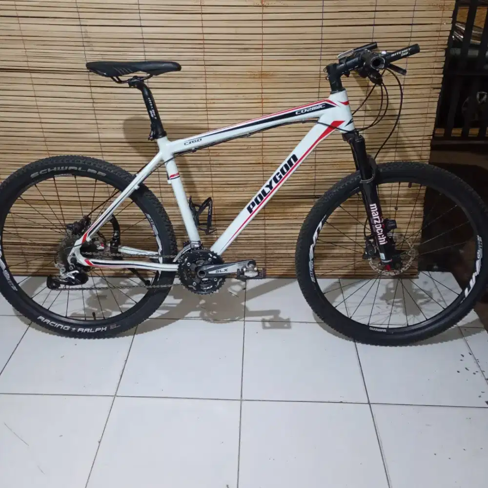 Sepeda gunung Polygon cx6.0 carbon cozmic