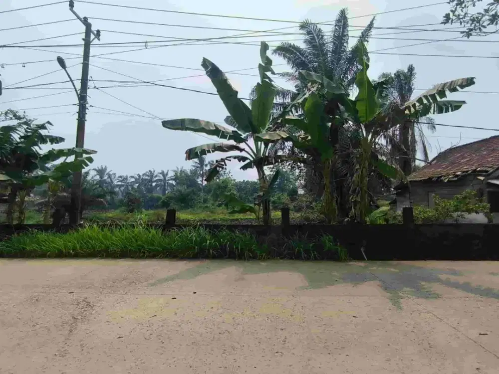 Dijual Lahan Komersil Jalan Sukosari Soekarno Hatta Talang Kelapa Palembang