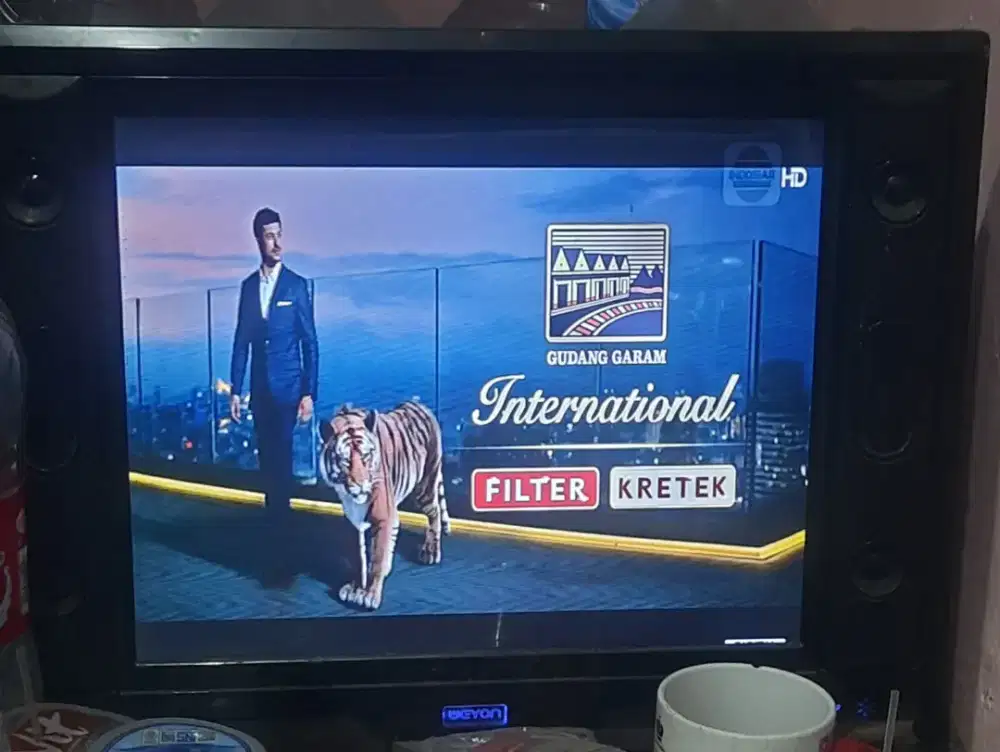 TV Weyon 21 inch  normal