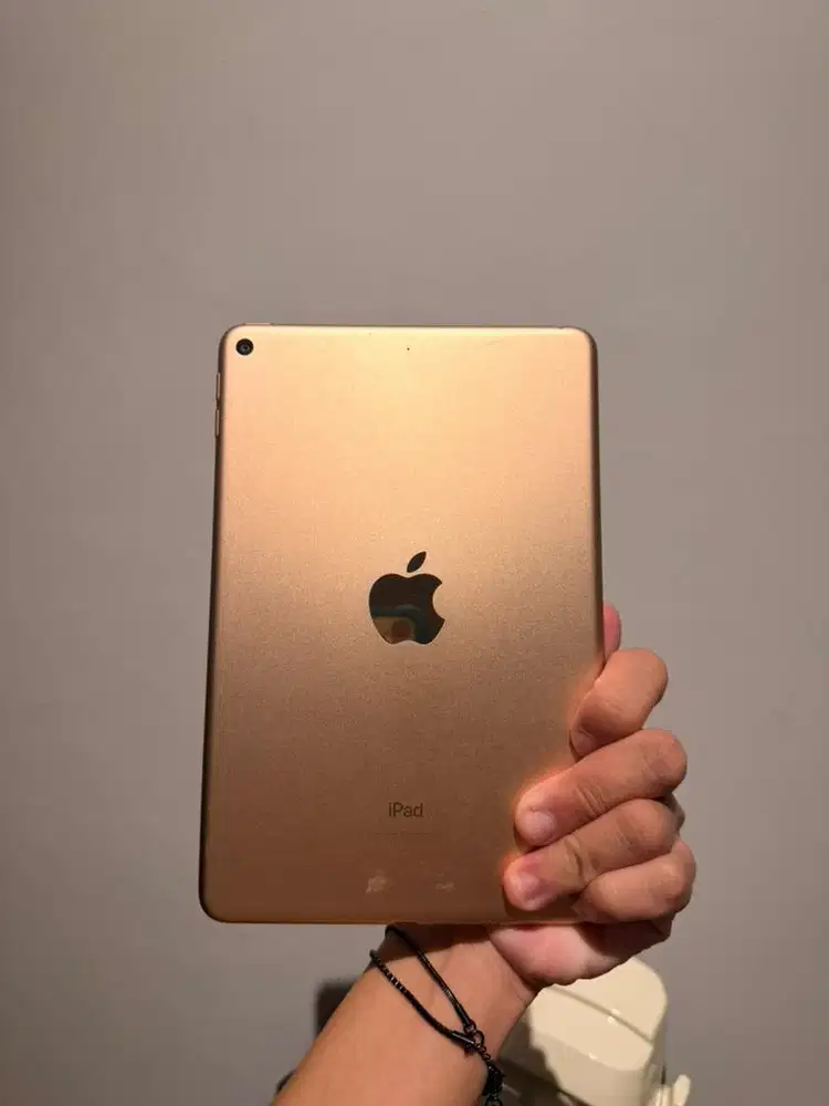 Ipad mini 5 64gb mulus nego