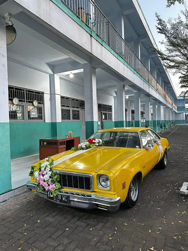 chevrolet malibu 1974