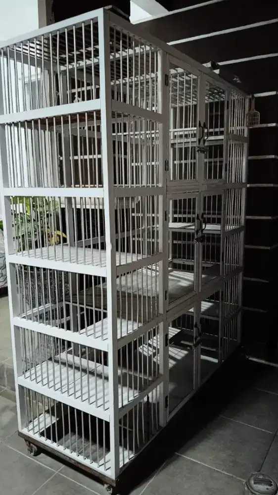 Kadang kucing 2.4.6 pintu