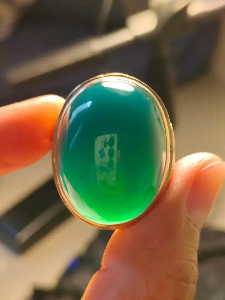 Bacan Cokelat Lawas Jumbo