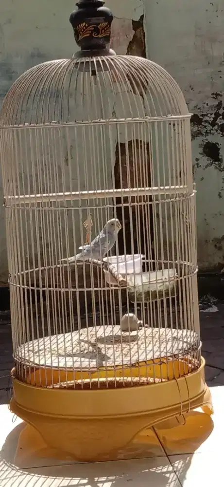 Parkit gacor isian sak pasar
