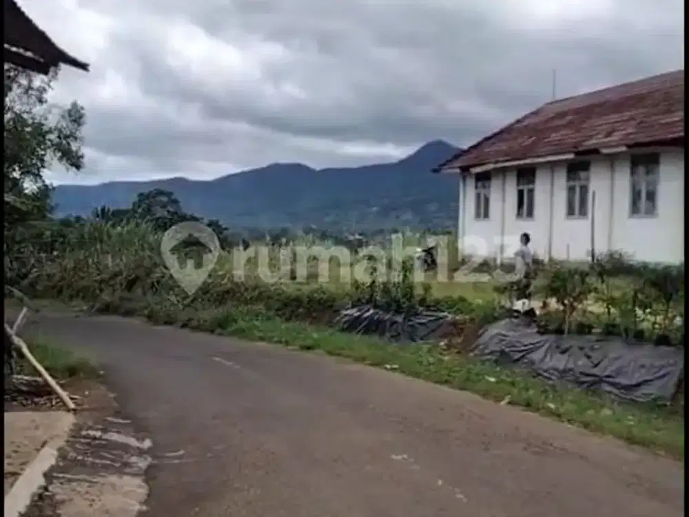 Jual Tanah 14 Ha , SHM Bonus Peternakan Ayam Telor Produktif