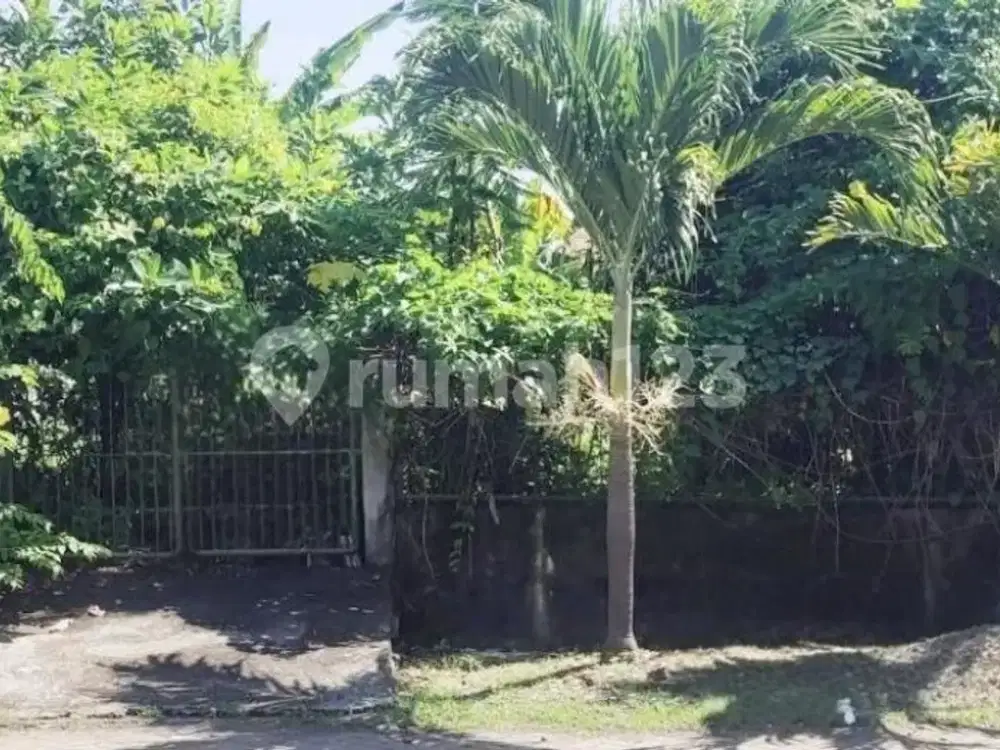 Bebas Banjir, Tanah, SHM, Dekat Universitas, di Sukolilo
