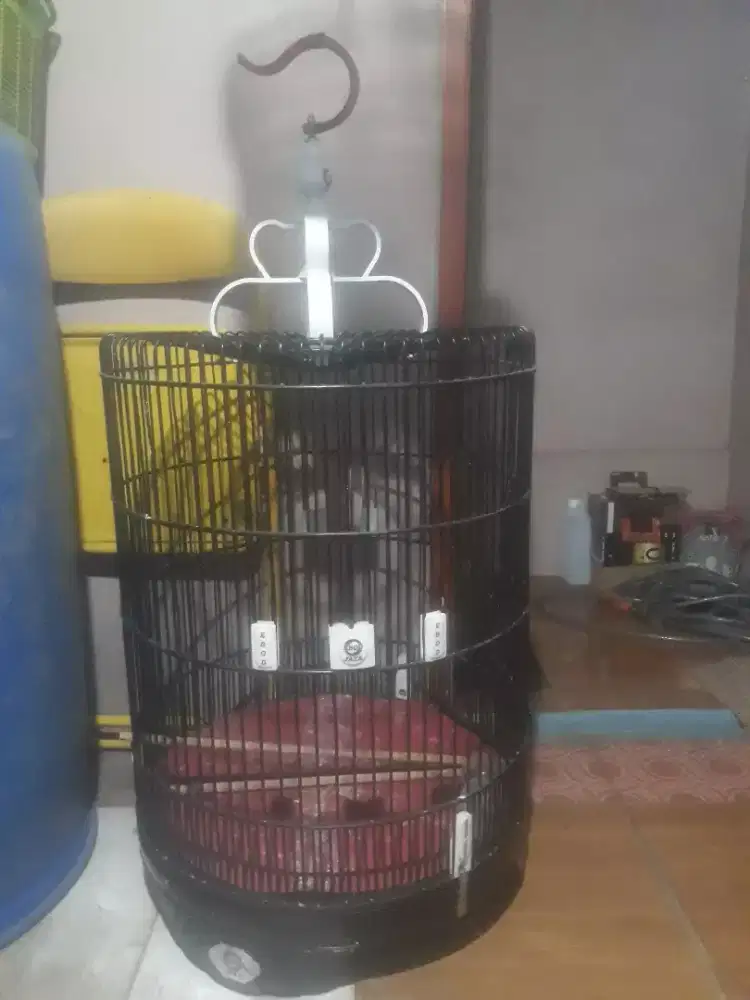 Jual sangkar murai no 3