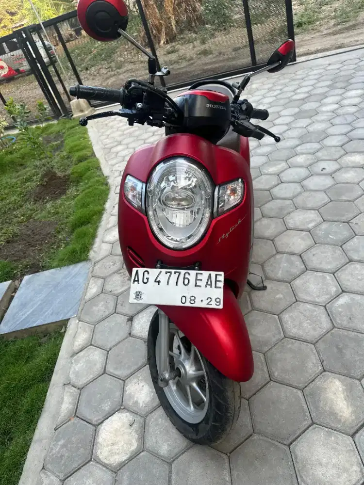Scoopy stylist 2019