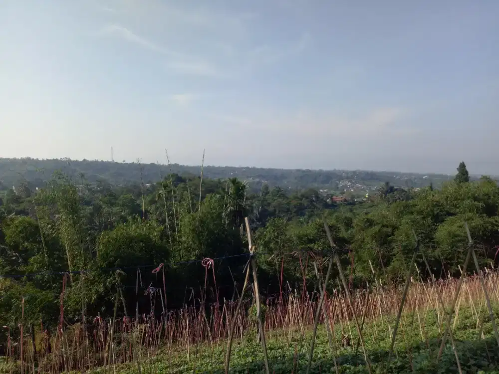 Dijual cepat tanah di cipetir kab sukabumi