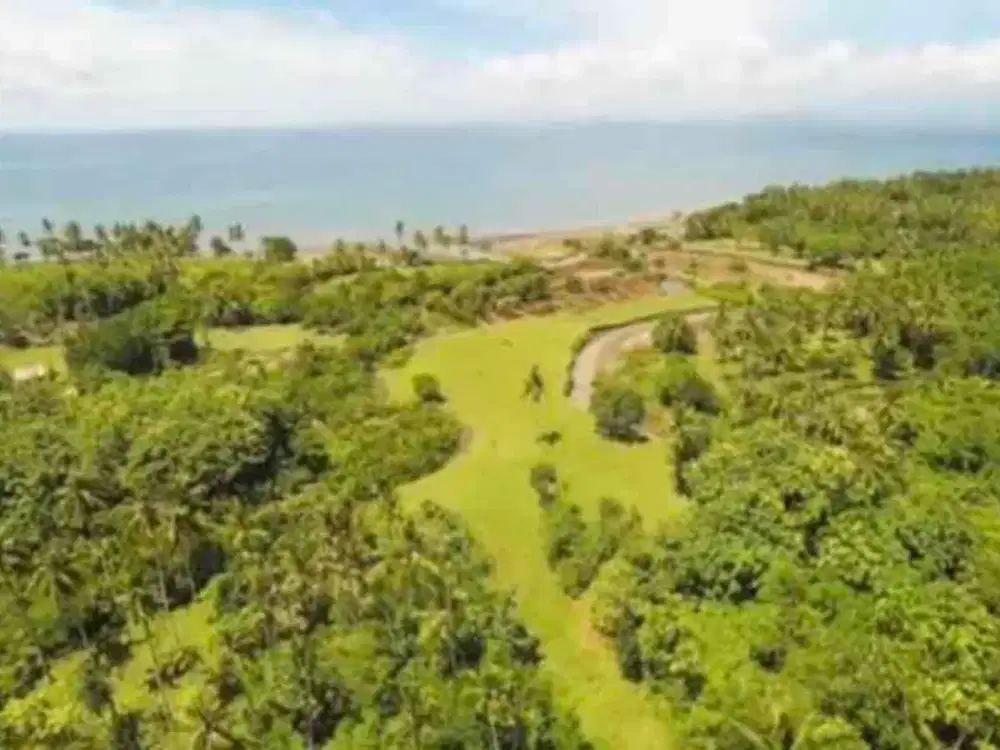 Di jual tanah 91 are pinggir sungai dekat pantai
Land For Sale near river and beach
