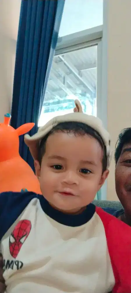 Lowongan Babysitter menginap