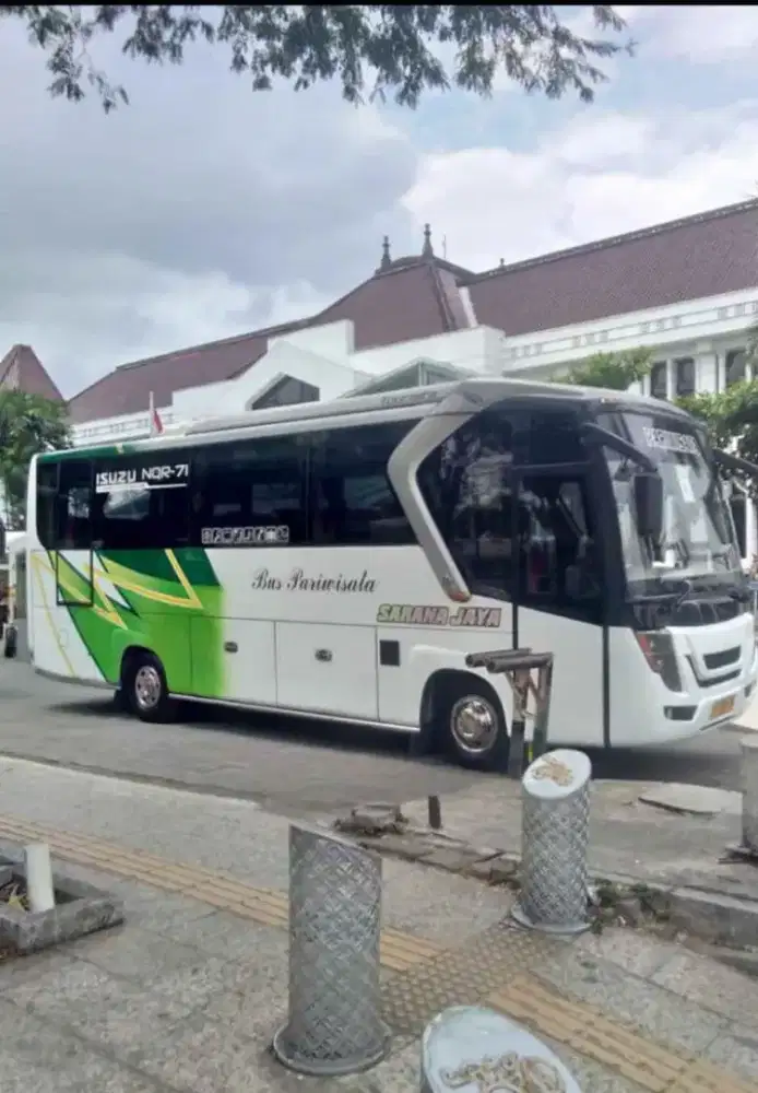 Bus medium NQR 35 seat