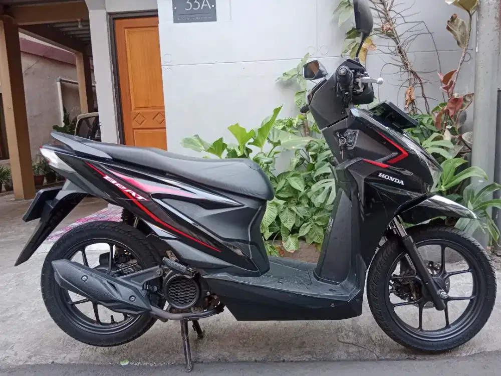 Honda beat 2024