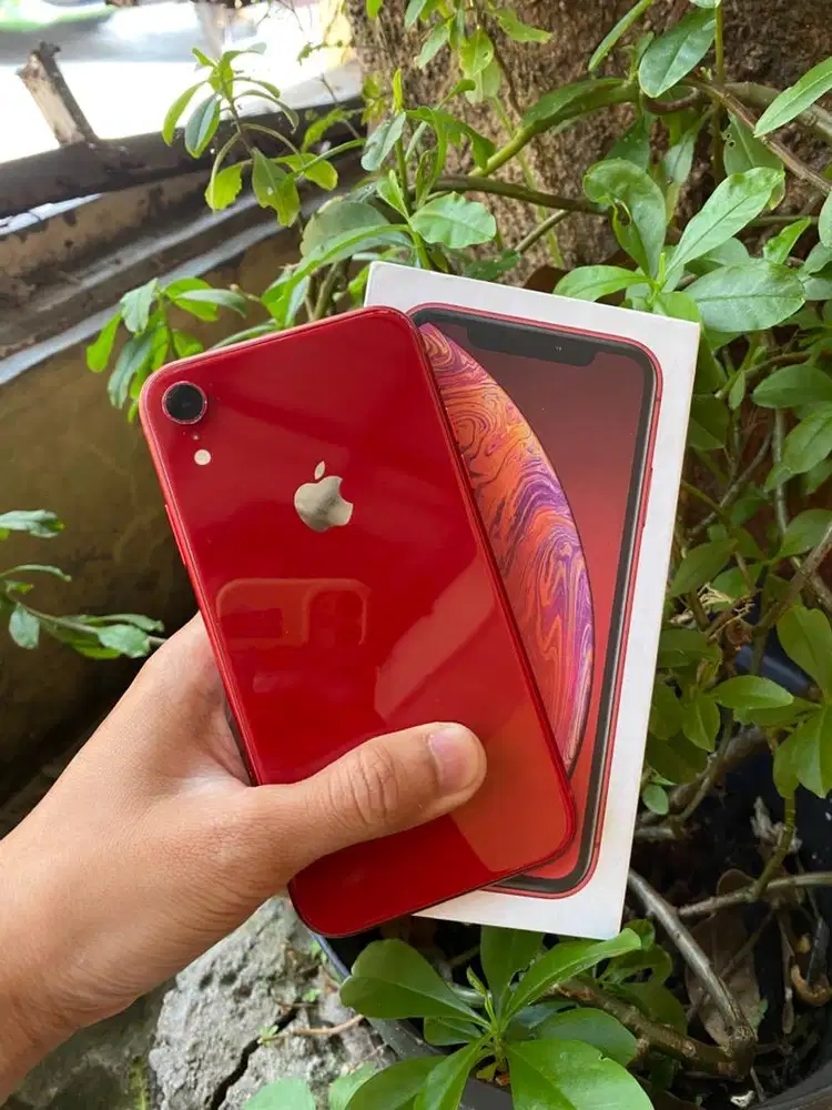 Iphone XR 64GB Mulus Nominus