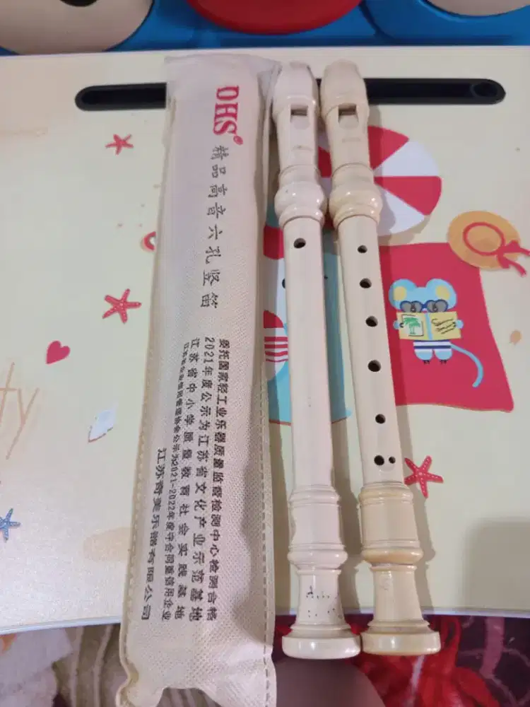 Recorder Yamaha & DHS