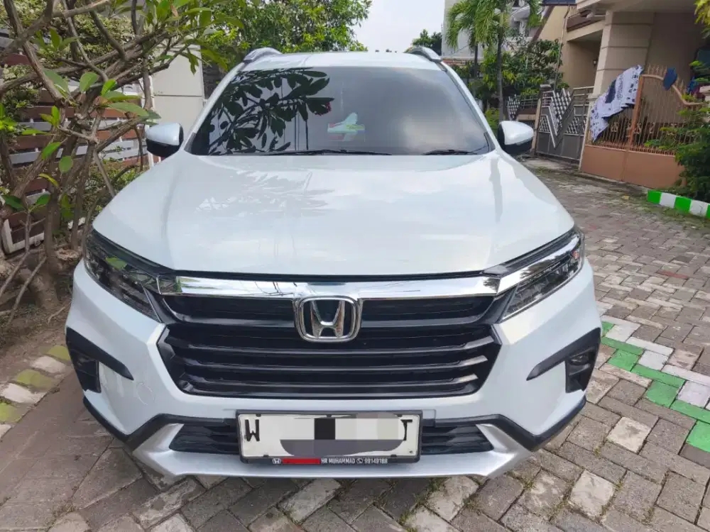 BRV, Tg1,Pmk 2024