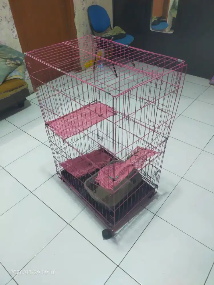 Kandang kucing 2 tingkat edisi BU