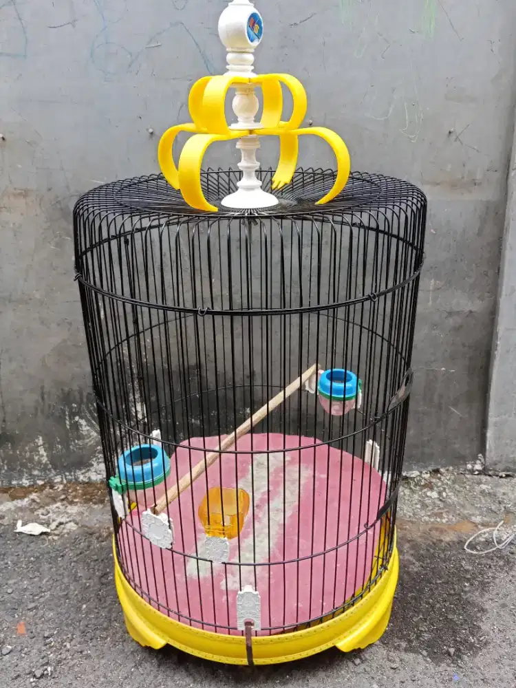 Kandang love bird jumbo