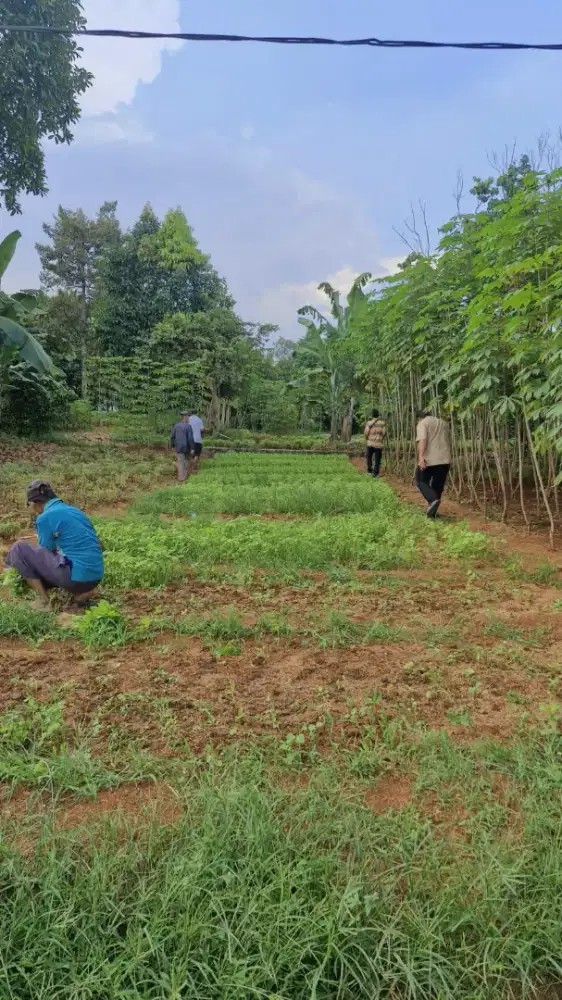 Dijual Tanah luas 120 Parung Bogor Ciseeng