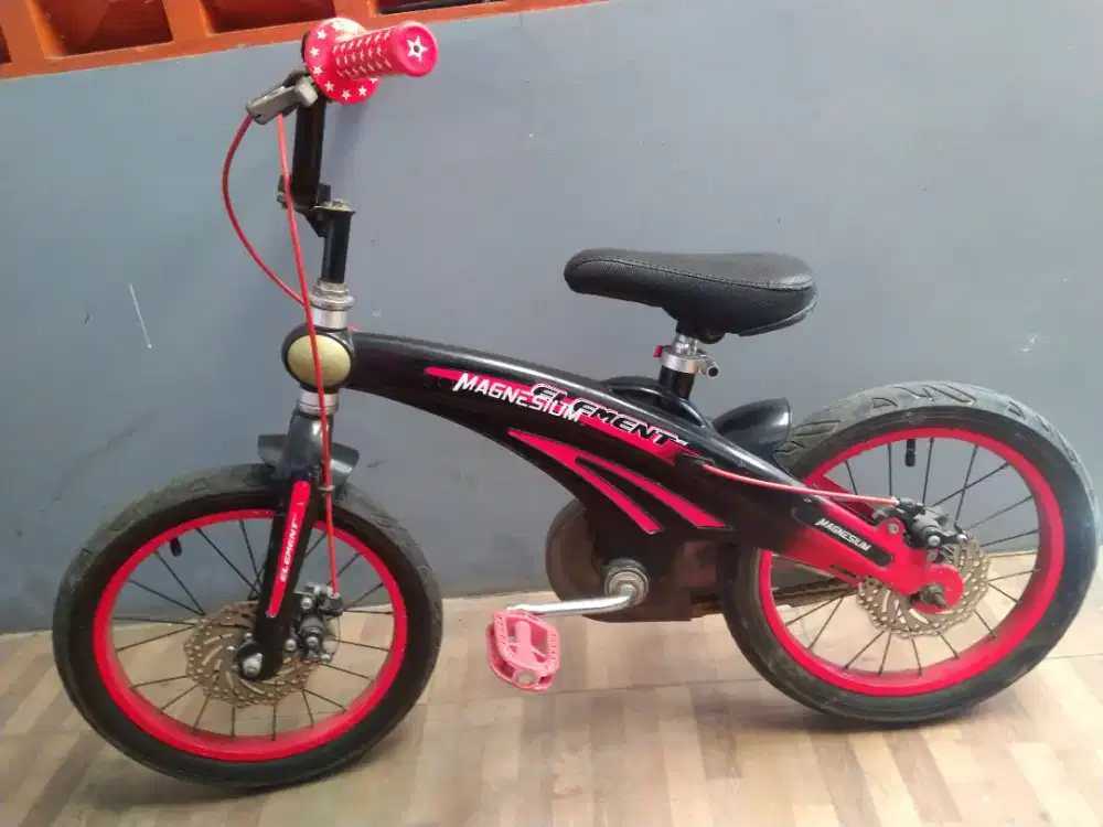 Sepeda anak 12, 14, 20 Element Pasific United