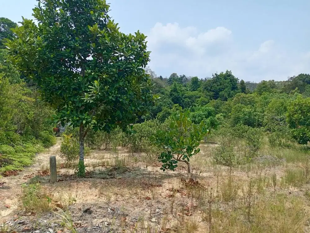 TANAH STRATEGIS DI DOMPAK 1000m2 BUKIT BESTARI