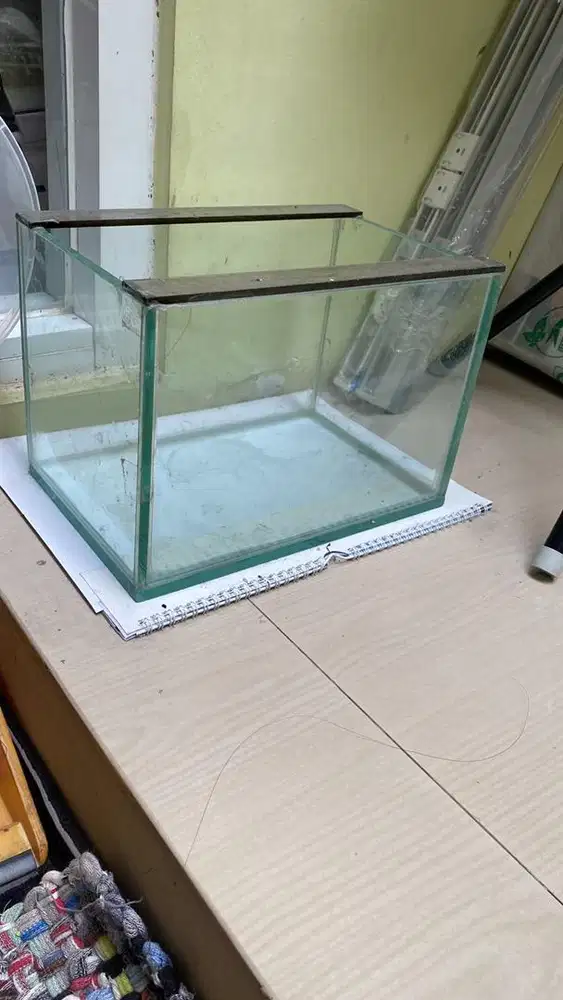 Akuarium Guppyyyy