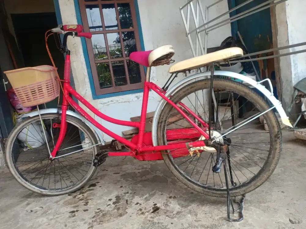 Sepeda Mini Normal