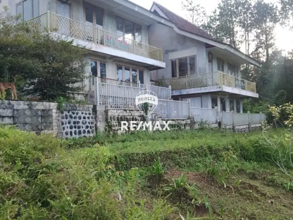 DIJUAL PERKEBUNAN LICIN-BANYUWANGI