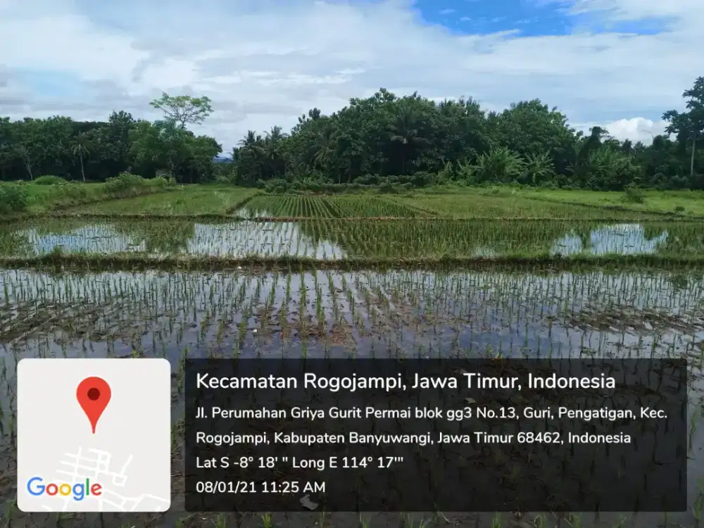 Jual lahan tanah perkebunan