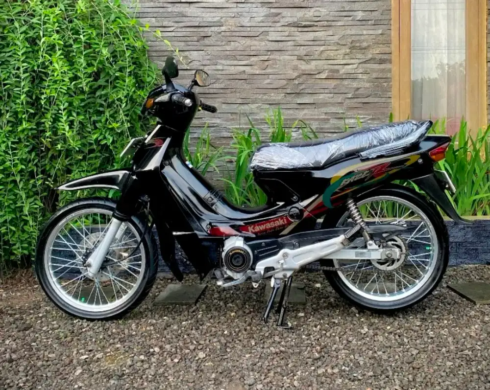 Kawasaki kaze r 2004