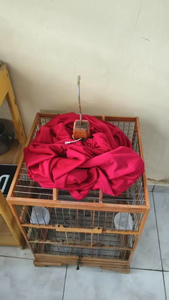 sangkar burung kayu