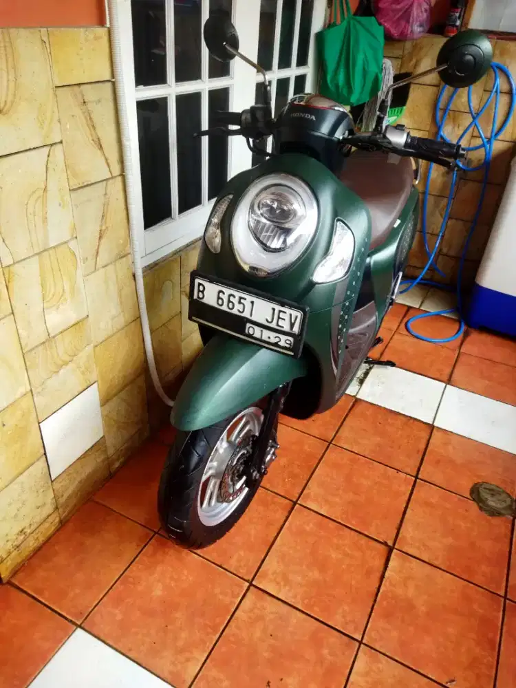 Honda scoopy prestige 2024