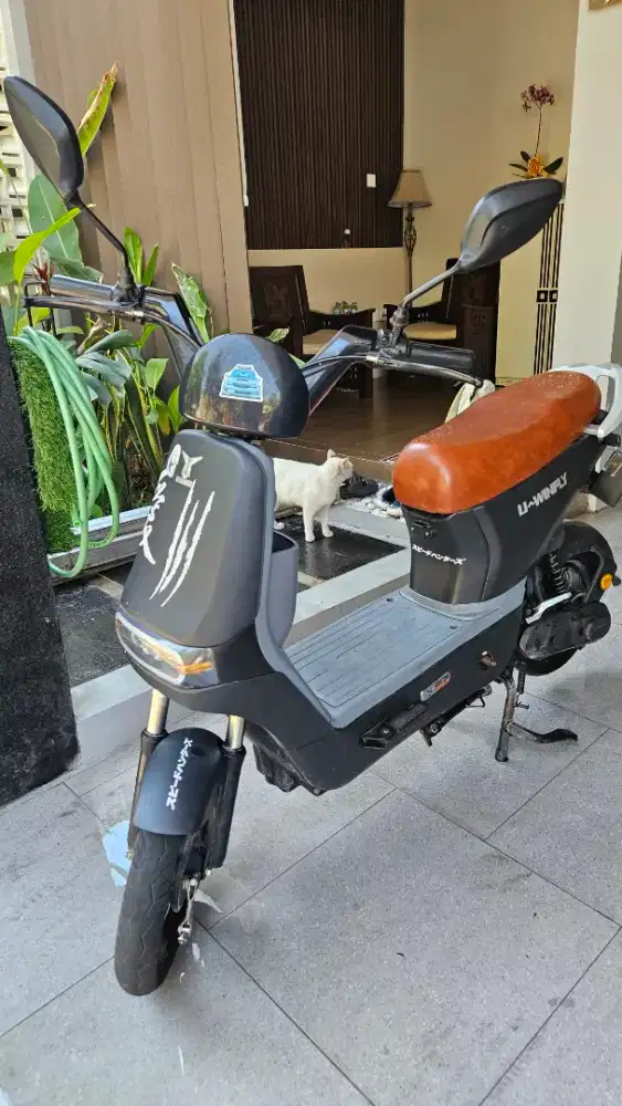 Sepeda Listrik U-WINFLY D8S