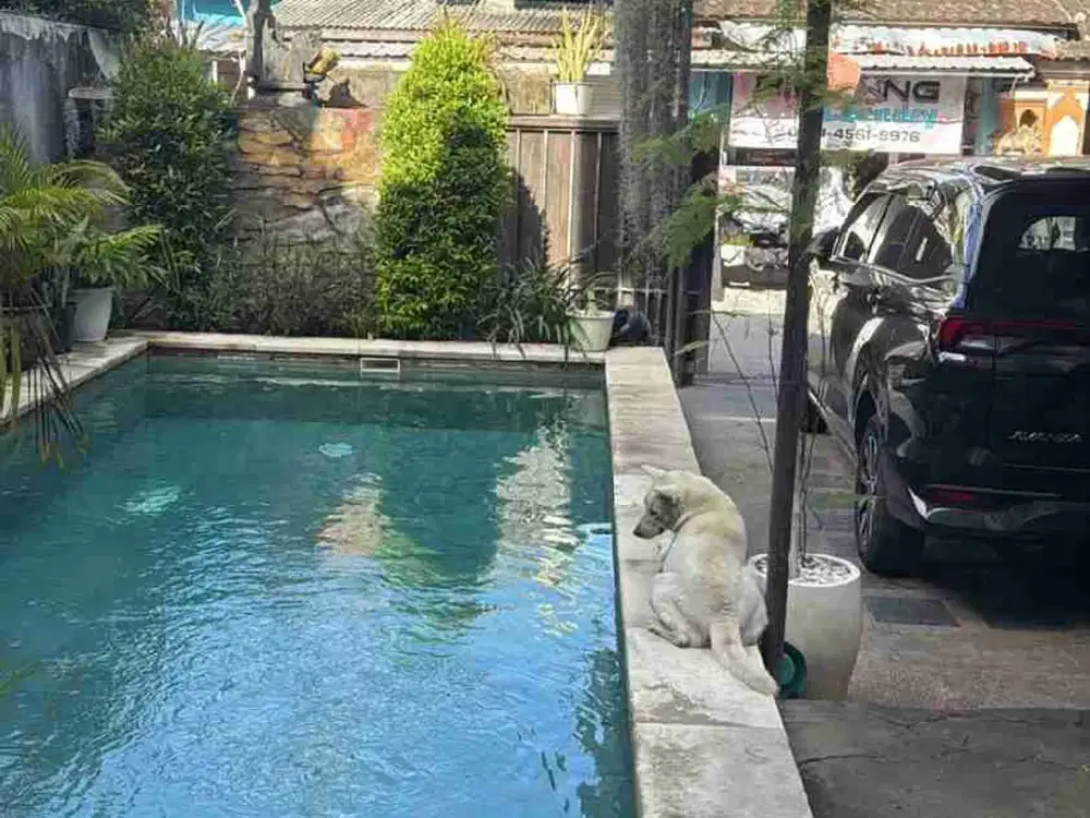 villa murah jalan sekuta sanur bali