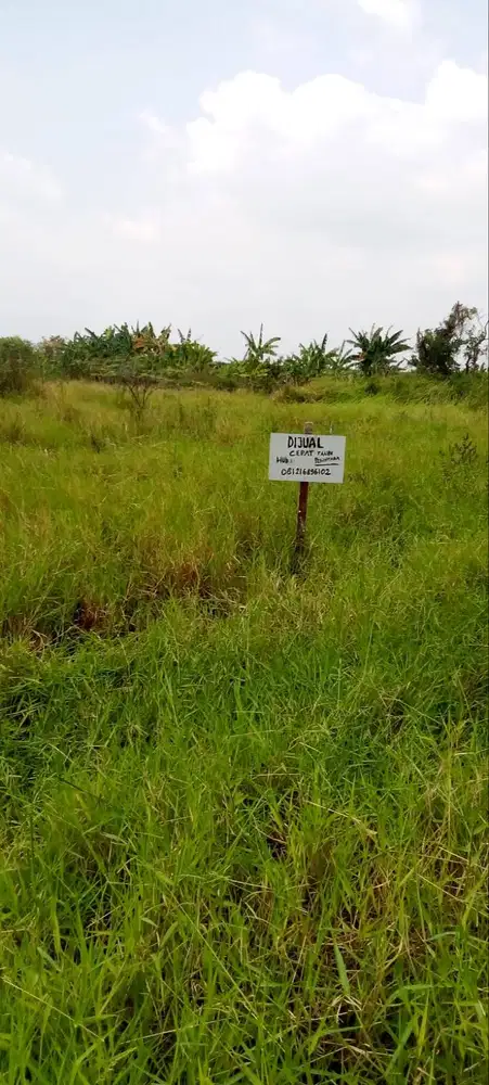 Tanah Kavling Petok D