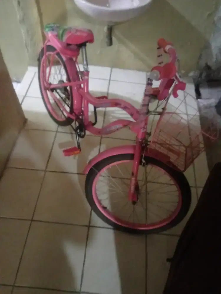 Sepeda Mini anak