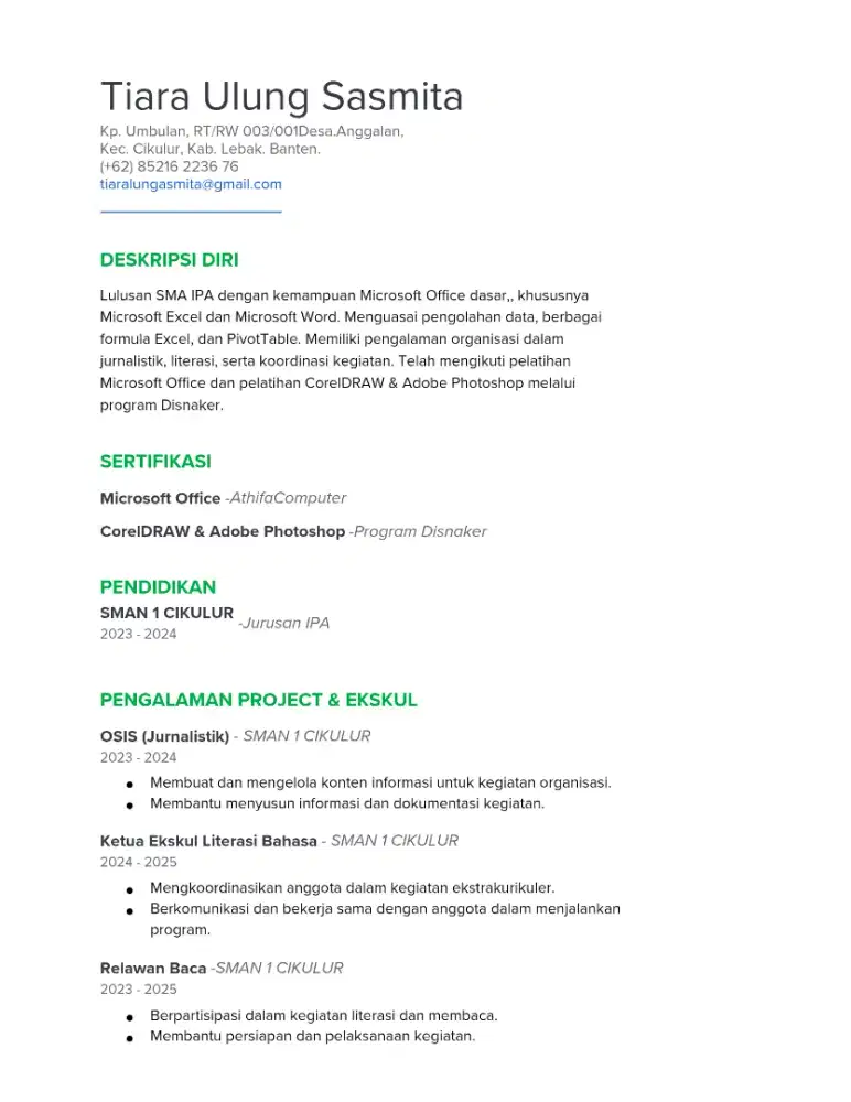 Fresh Graduate Admin Excel