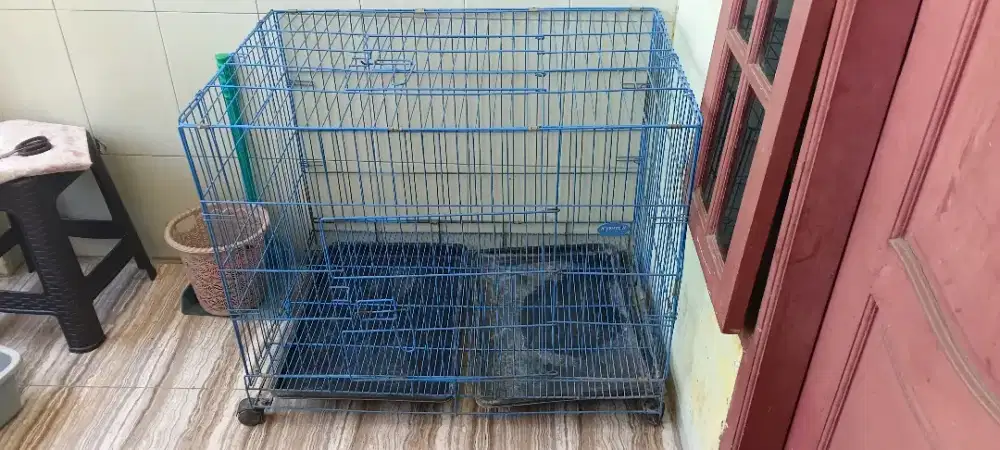 Jual kandang jumbo kucing