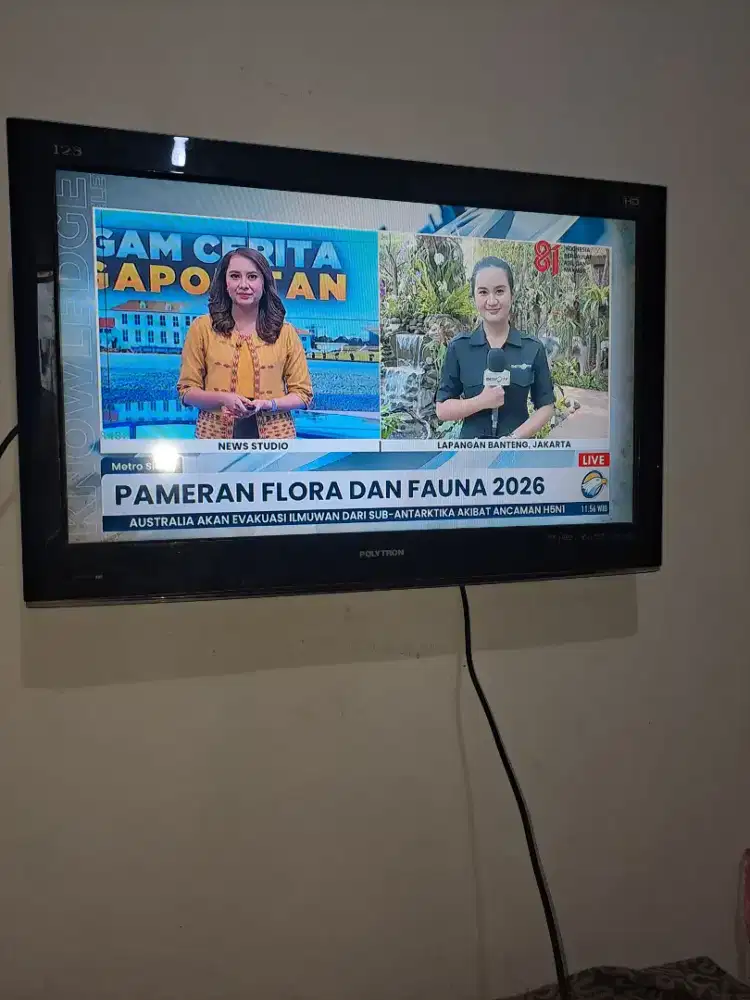Tv polytron 32 inc