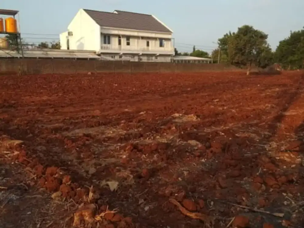 TANAH INDUSTRI PACIRAN LAMONGAN JAWA TIMUR HARGA 1,4 JT