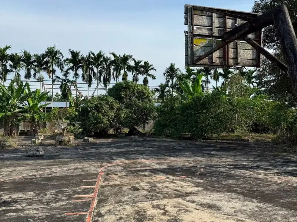 DIJUAL TANAH LUAS 1,4 HEKTAR – JALAN SEMBAHE NAMORAMBE