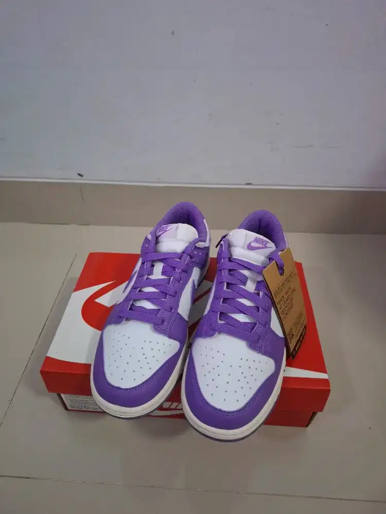 Nike Women's Dunk Low Shoes - Summit White [DD1873-108]