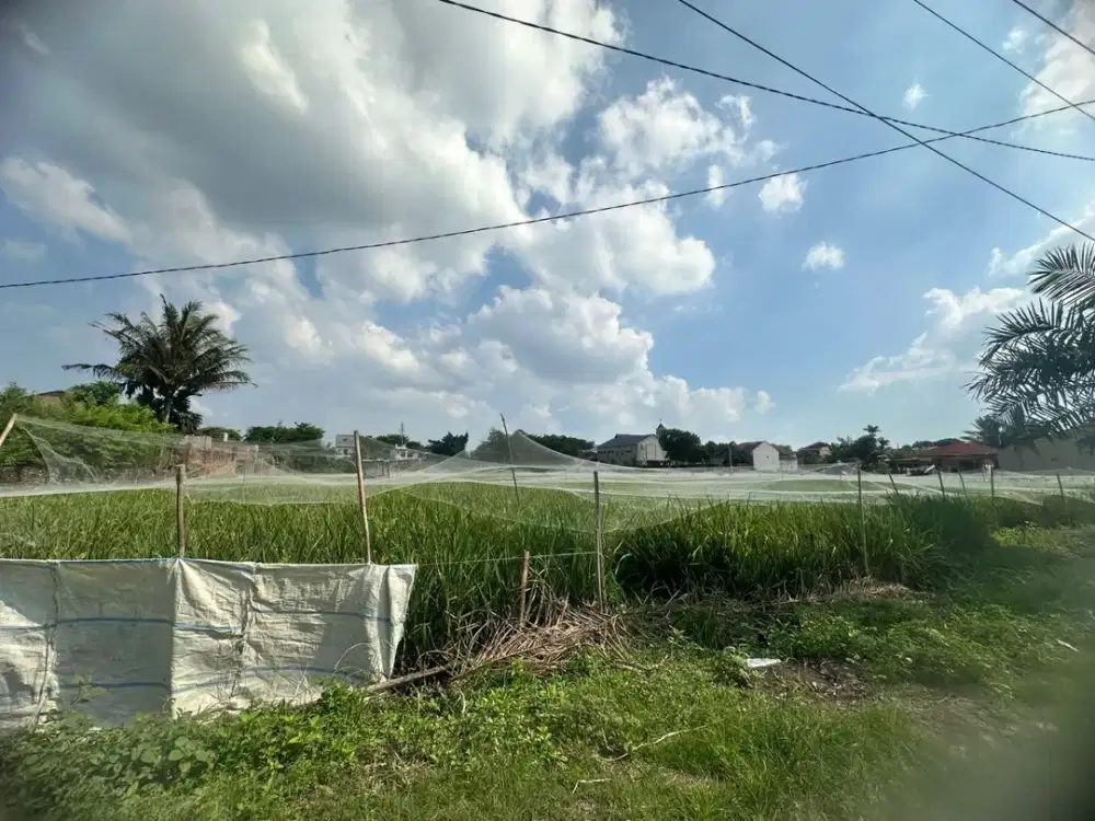 DIJUAL TANAH LUAS 1,3 HEKTAR – NGUMBAN SURBAKTI DAERAH JAMIN GINTING