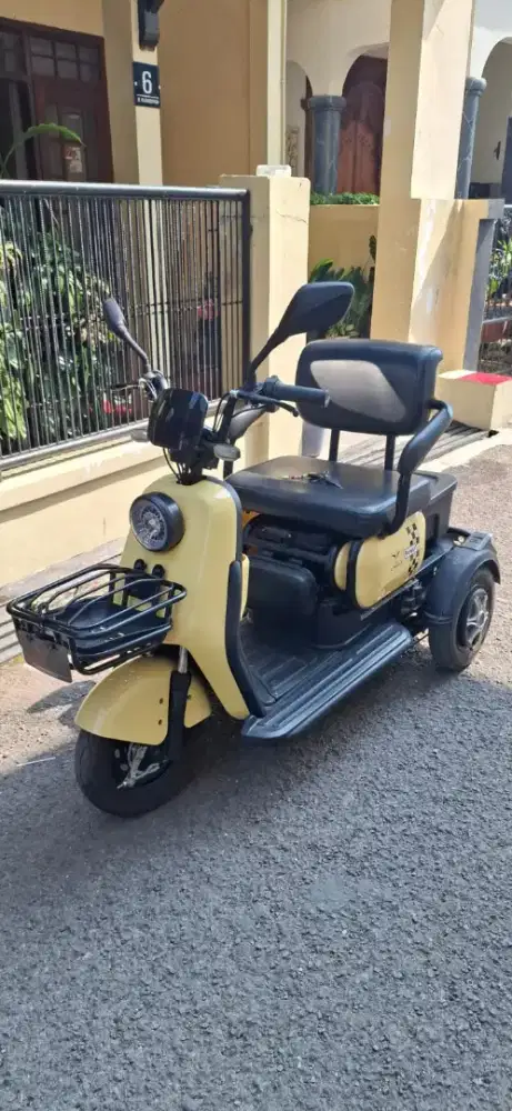 Sepeda listrik roda 3 maleo