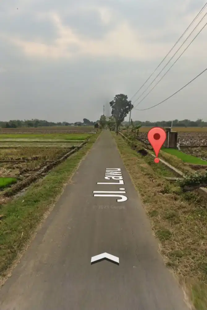 Sawah Botohan Wonolopo Tasikmadu Karanganyar