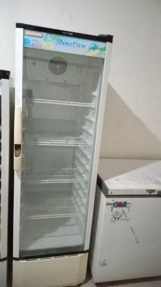 Showcase Polytron SCN 231 L
