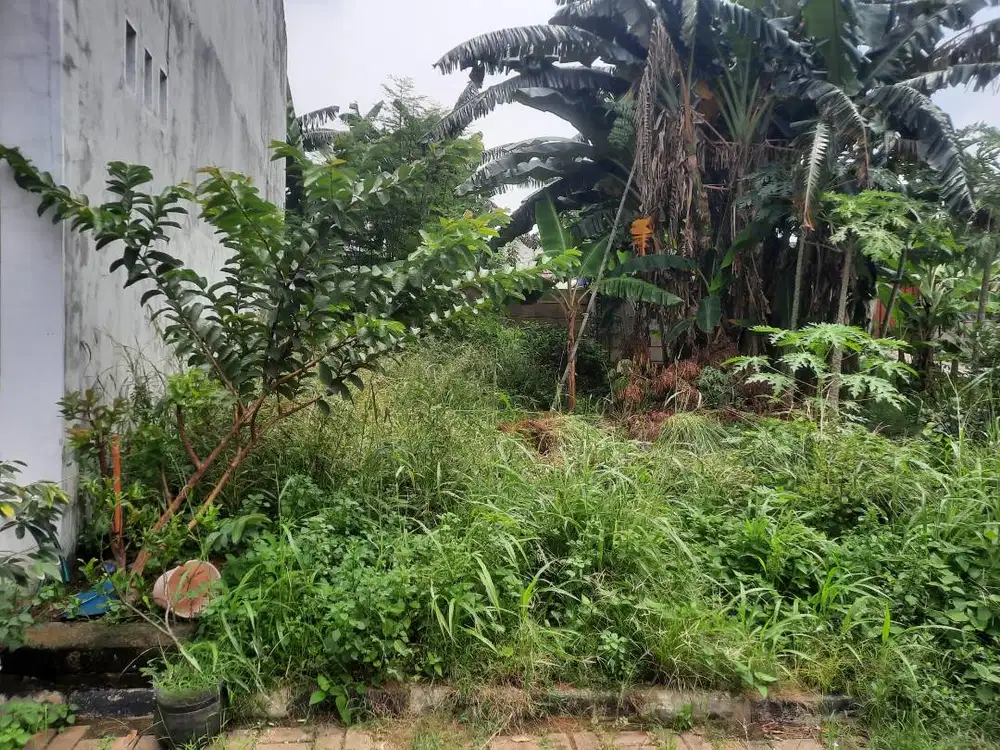 DIJUAL CEPAT TANAH 76M2 DALAM CLUSTER PAMULANG - SHM